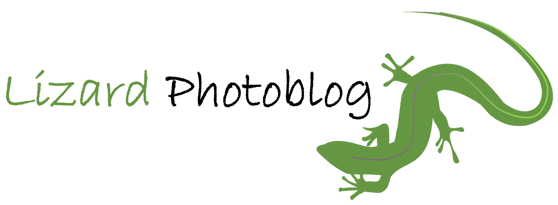 Lizard Photo Blog